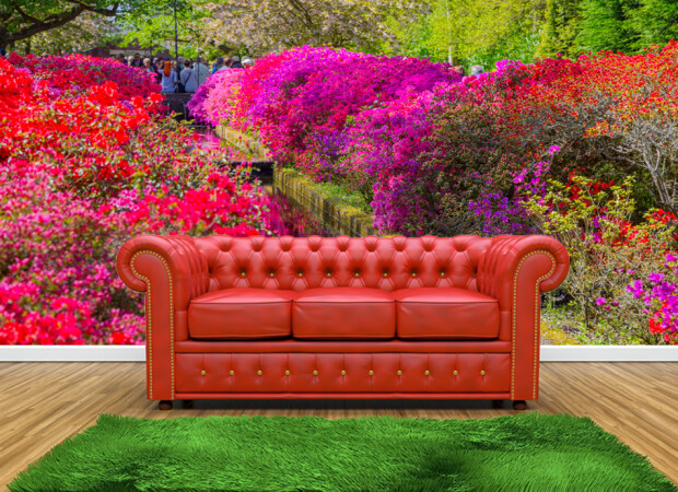 радужный сад