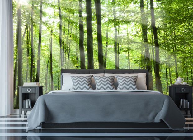 Утро в лесу