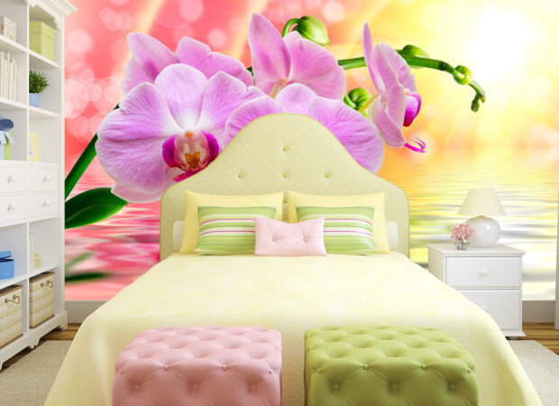 сиреневая орхидея