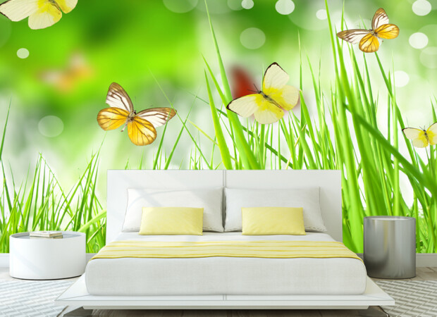 метелики в траві