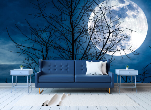 огромная луна