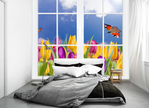 Окно в тюльпаны
