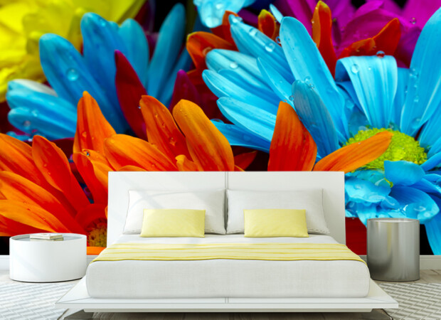 Радужные ромашки