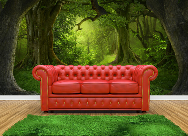 лесная чаща