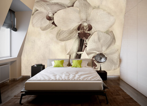 Орхидеи в сепии