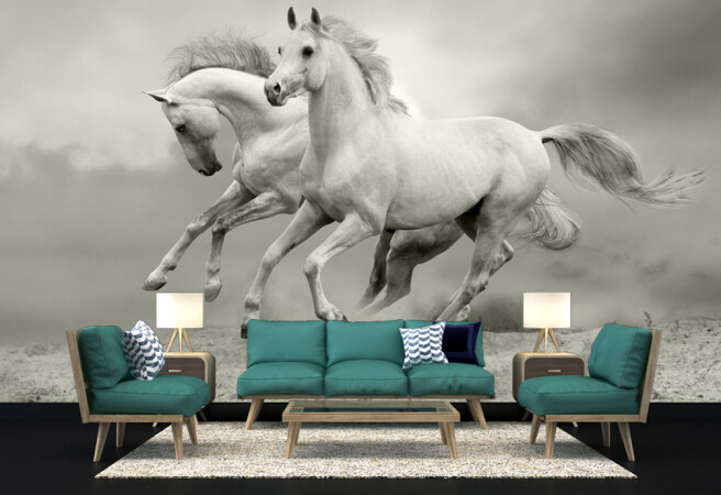 Фотообои Две лошадки