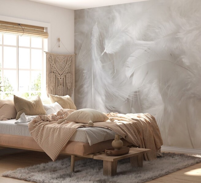 Фотообои ніжне пір’я