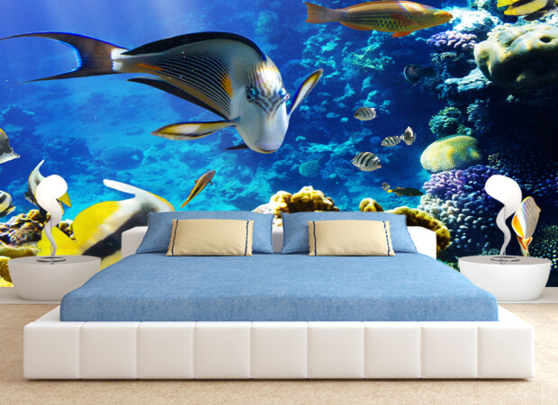 Красота подводного мира