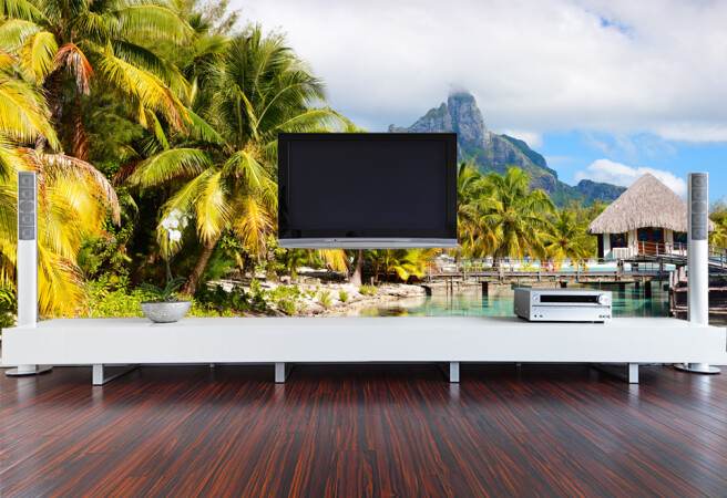 Фотообои пальмы на стене