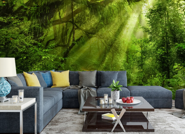 свет сквозь листву