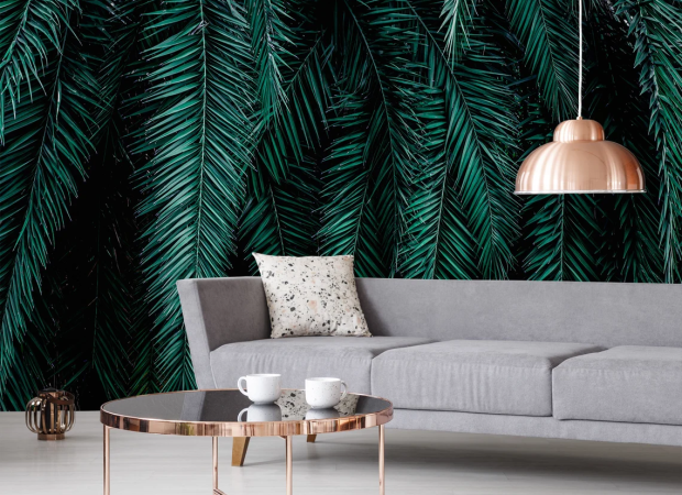 листья пальм зеленые