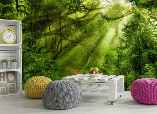 свет в лесу