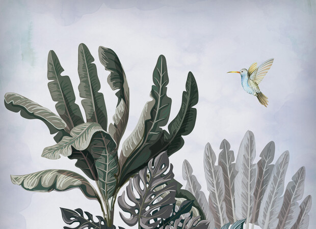 Колибри возле монстеры