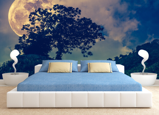 Вечерняя луна